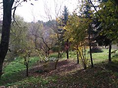 Eladó földterület Veszprém 3. kép