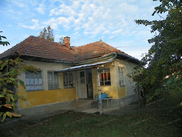 Eladó ház Palotás 2. kép