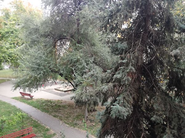 Eladó lakás Szeged, Tarján 12. kép