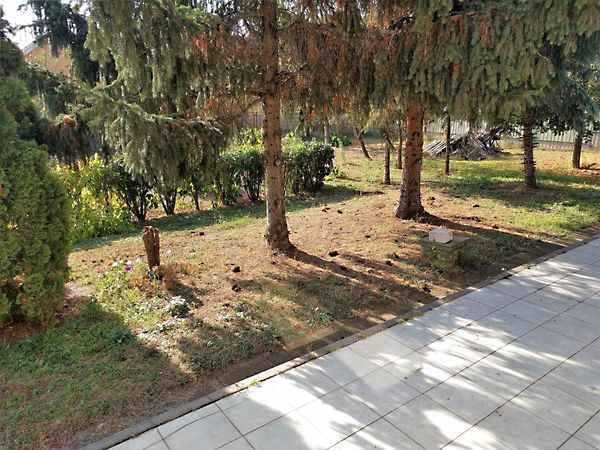 Eladó ház Debrecen 14. kép