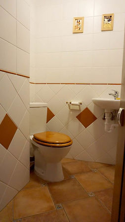 Kiadó lakás Budapest, I. kerület, Víziváros 16. kép