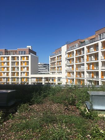 Eladó lakás Budapest, IX. kerület, Rehabilitációs terület 1. kép