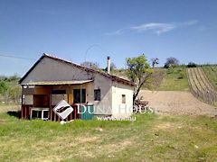 Eladó ház Szomód 3. kép