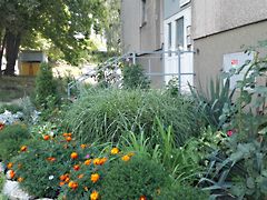 Kiadó lakás Miskolc, AVAS II. lakótelep 4. kép