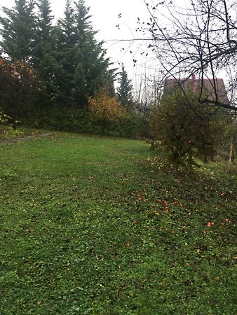 Kiadó lakás Miskolc, Belváros 5. kép