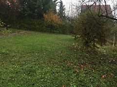Kiadó lakás Miskolc, Belváros 5. kép