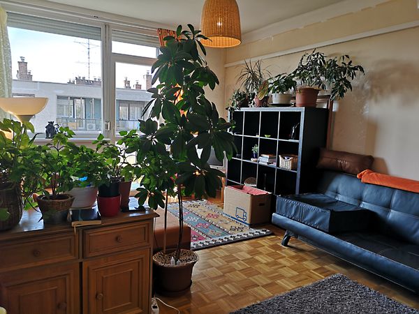 Eladó lakás Budapest, XVI. kerület, Rákosszentmihály 3. kép