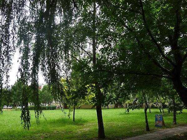 Eladó lakás Szeged, Rókus 1. kép