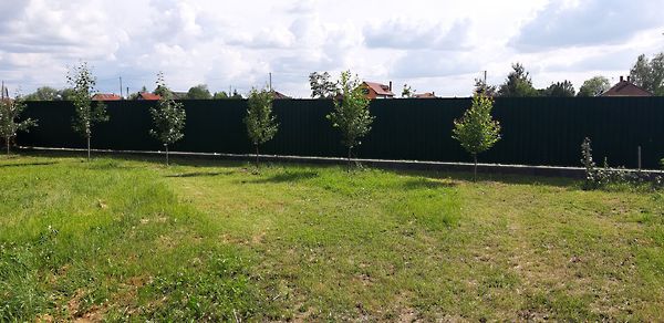 Eladó ipari Debrecen 3. kép