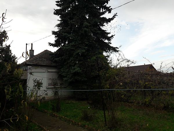Eladó ház Szajol 1. kép
