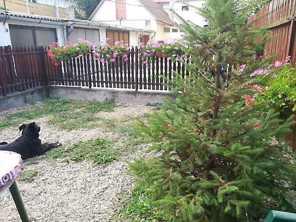 Eladó ház Debrecen, Belváros 10. kép