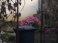 Eladó ház Tapolca, Nyugati városrész 4. kép