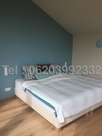 Kiadó ház Budapest, II. kerület, Széphalom 4. kép