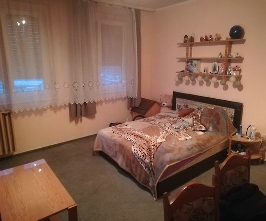 Eladó lakás Székesfehérvár, Palotaváros 6. kép