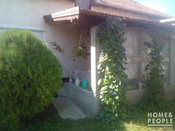Eladó ház Baks 1. kép