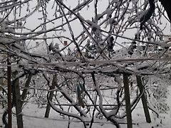 Eladó ház Miskolc, Selyemrét 2. kép