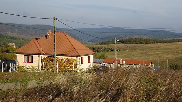 Eladó földterület Mályinka 4. kép