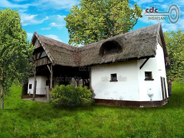 Eladó ház Csongrád 1. kép