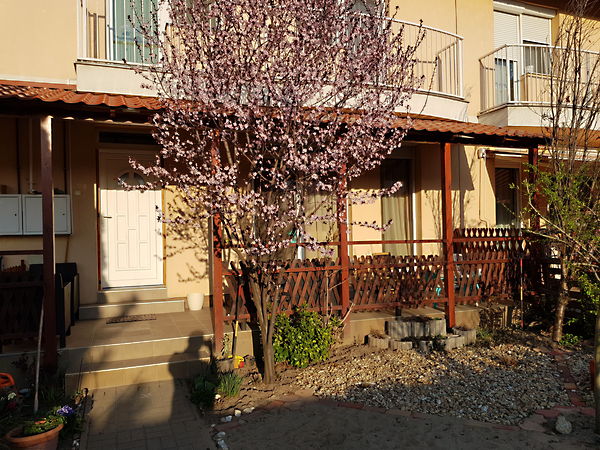 Eladó ház Szeged, Petőfitelep 24. kép