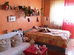 Eladó lakás Budapest, XXI. kerület, Erdőalja 4. kép