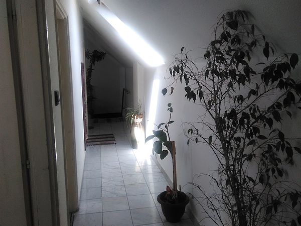 Eladó ház Budapest, XXI. kerület, Háros 11. kép