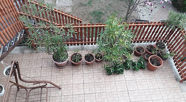 Eladó ház Debrecen, Felsőjózsa 10. kép