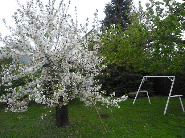 Eladó nyaraló Balatongyörök 2. kép
