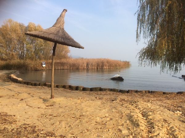 Eladó nyaraló Balatongyörök 30. kép
