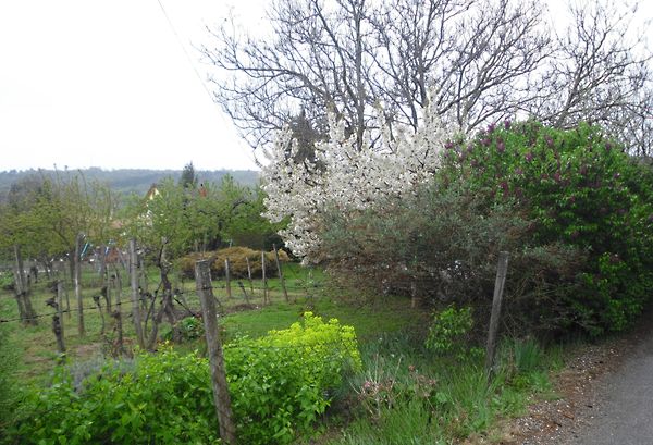 Eladó nyaraló Balatongyörök 5. kép