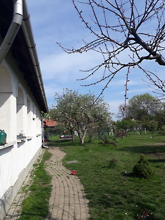 Eladó ház Szolnok, Kocsoros 12. kép
