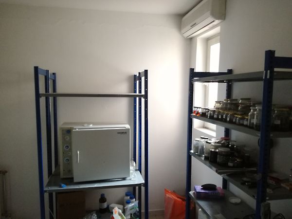 Eladó ház Szeged, Felsőváros 15. kép