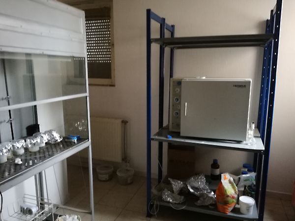 Eladó ház Szeged, Felsőváros 16. kép