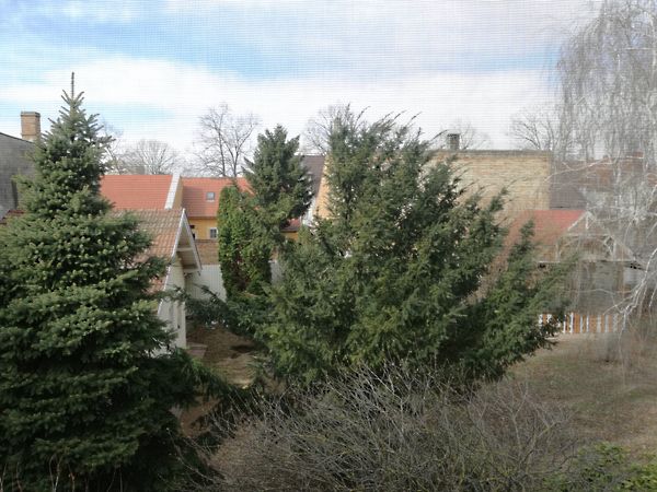 Eladó ház Szeged, Felsőváros 39. kép