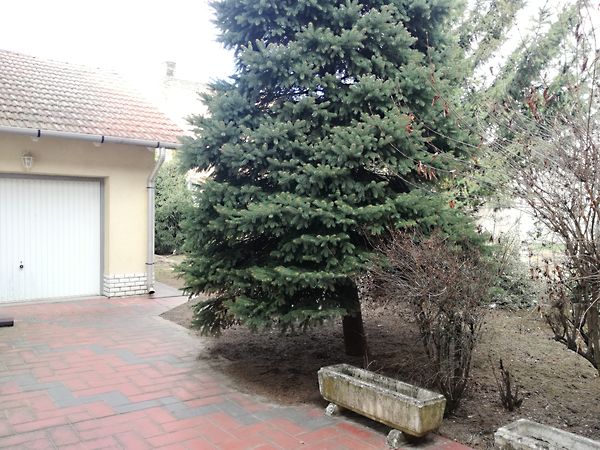 Eladó ház Szeged, Felsőváros 41. kép