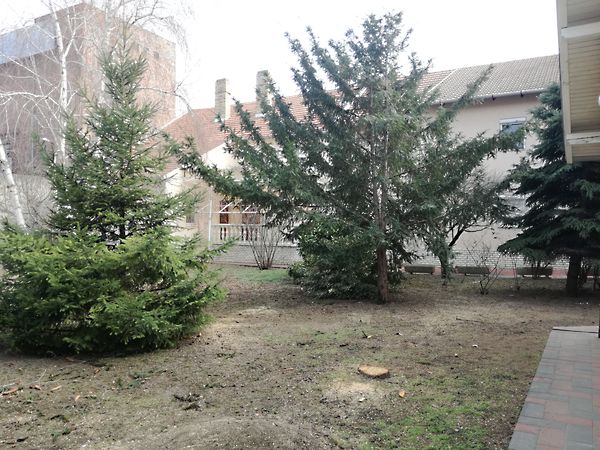 Eladó ház Szeged, Felsőváros 67. kép