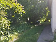 Eladó ház Székesfehérvár, Öreghegy 2. kép