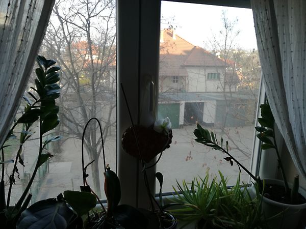 Eladó lakás Debrecen, Dobozi lakótelep 7. kép