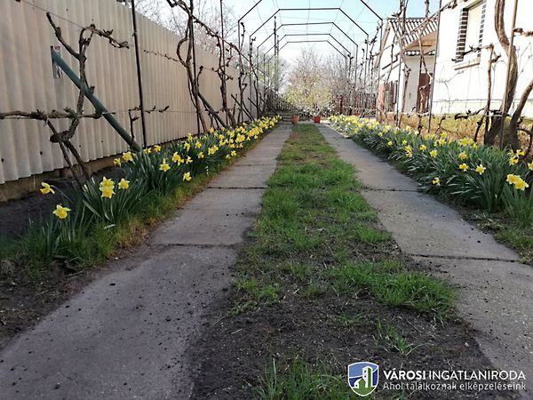 Eladó ház Szeged, Béketelep 15. kép