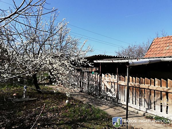 Eladó ház Szeged, Béketelep 16. kép