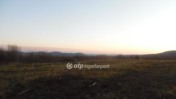 Eladó földterület Budakeszi 1. kép