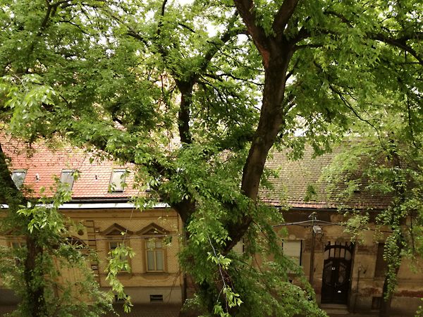 Kiadó lakás Debrecen, Belváros 16. kép