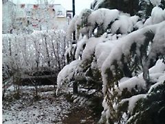 Eladó lakás Budapest, XVI. kerület, Árpádföld 5. kép
