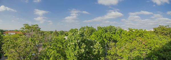 Eladó lakás Budapest, XIV. kerület, Alsórákos 1. kép