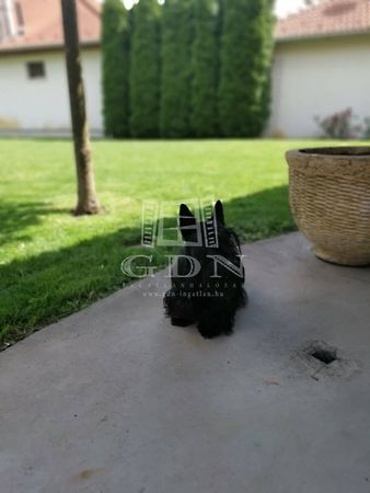 Eladó ház Szeged 6. kép