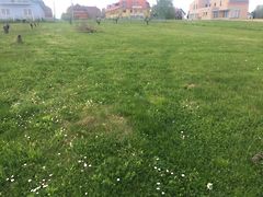 Eladó földterület Hévíz 3. kép