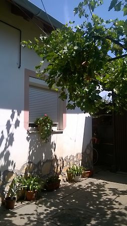 Eladó ház Szeged, Szeged-Szentmihály 13. kép
