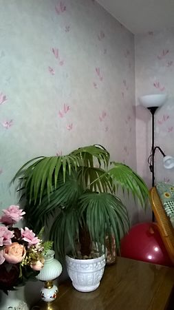 Eladó ház Szeged, Szeged-Szentmihály 7. kép