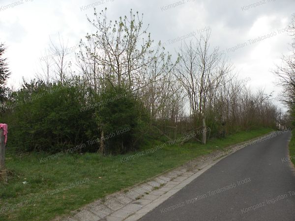 Eladó földterület Kőkút 17. kép