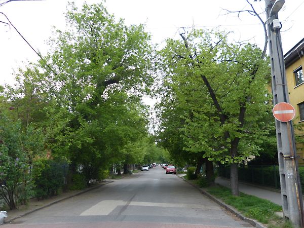 Eladó lakás Budapest, XIV. kerület, Herminamező 20. kép