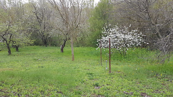 Eladó földterület Dunaújváros, Északi lakópark 1. kép